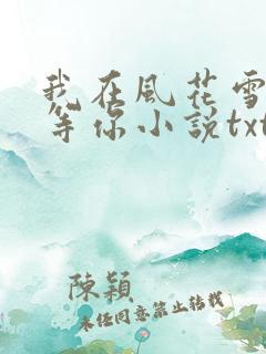 我在风花雪月里等你小说txt网盘