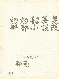 灼灼韶华是根据哪部小说改编的