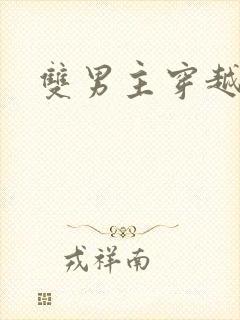 双男主穿越爽文