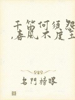 千笛何须怨杨柳,春风不度玉门关