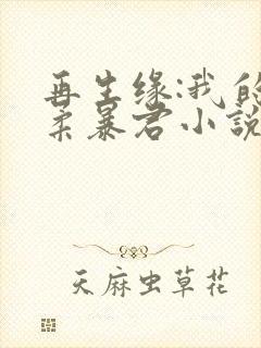 再生缘:我的温柔暴君小说