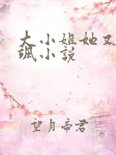 大小姐她又美又飒小说