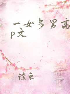 一女多男高hnp文