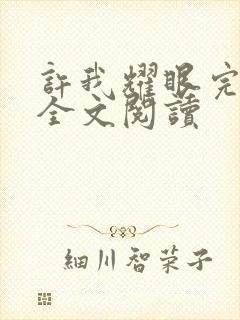 许我耀眼完整版全文阅读