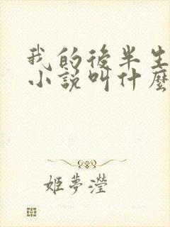 我的后半生原著小说叫什么