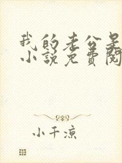 我的老公是酷哥小说免费阅读全文