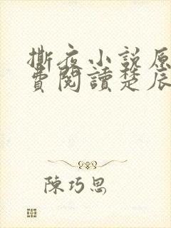 撕夜小说原著免费阅读楚辰安