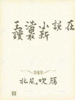 王浩小说在线阅读最新