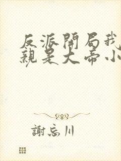 反派开局我的母亲是大帝小说