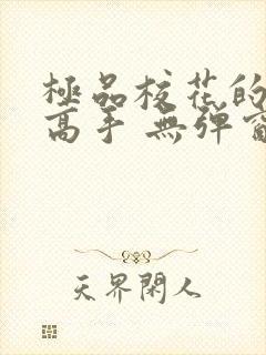 极品校花的贴身高手 无弹窗