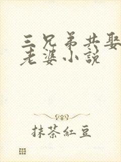 三兄弟共娶一个老婆小说