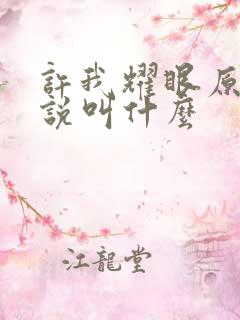 许我耀眼原著小说叫什么