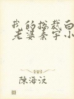 我的总裁白富美老婆秦宇小说正版