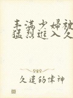 丰满少妇被猛男猛烈进入久久