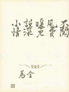 小说暖风不及你情深免费阅读