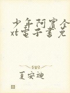 少年阿宾全本txt电子书免费