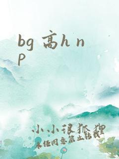 bg 高h np