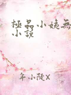 极品小姨无删减小说