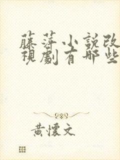 藤萍小说改编电视剧有哪些