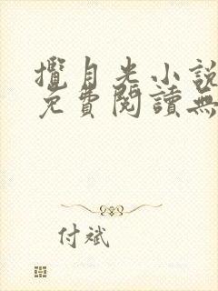 揽月光小说全文免费阅读无广告