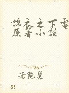 锦衣之下电视剧原著小说