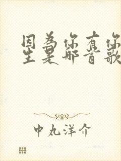 因为你有你的人生是哪首歌的歌词