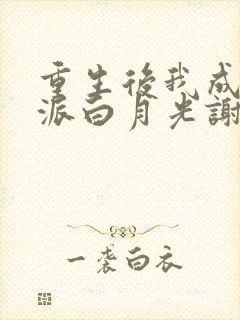 重生后我成了反派白月光谢厌淮大结局哪里