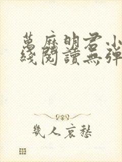 万历明君小说在线阅读无弹窗