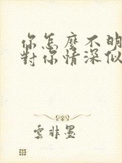 你怎么不明白我对你情深似海求歌名