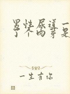 男性尿道一侧长了个肉芽是怎么回事