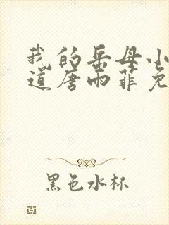 我的岳母小说林道唐雨菲免费阅读