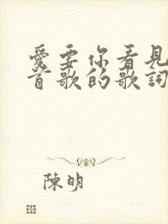 爱要你看见是哪首歌的歌词