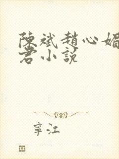 陈斌赵心媚高婉君小说