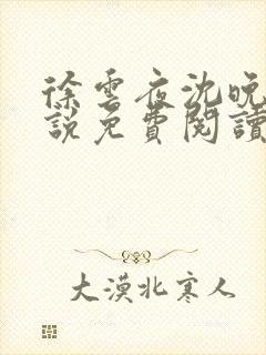 徐云夜沈晚音小说免费阅读最新章节