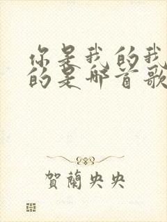 你是我的我是你的是哪首歌的歌词