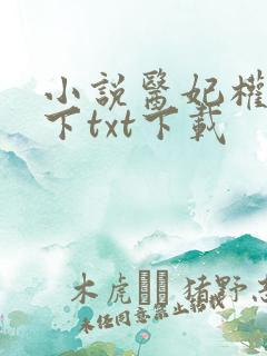 小说医妃权倾天下txt下载