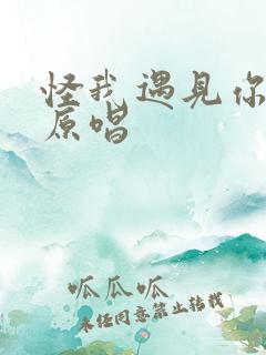 怪我遇见你太迟原唱