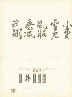 我乘风雪小说无删减版免费阅读