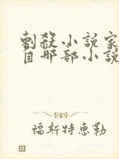 刺杀小说家改编自哪部小说