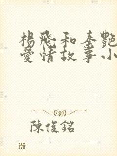 杨飞和秦艳阳的爱情故事小说