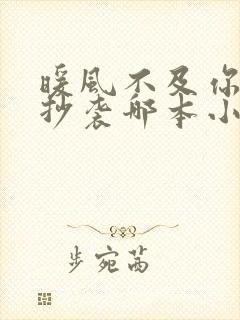 暖风不及你情深抄袭哪本小说