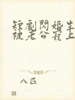 短剧闪婚生子后被老公宠上天