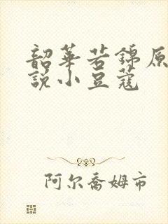 韶华若锦原著小说小豆蔻