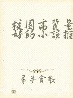 校园高质量文笔好的小说推荐