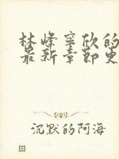 林峰宁欣的小说最新章节更新