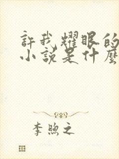 许我耀眼的原著小说是什么