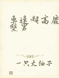 车速超高废文的双男