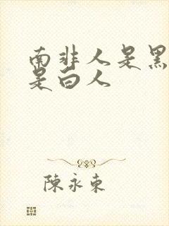 南非人是黑人还是白人