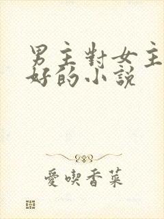 男主对女主特别好的小说