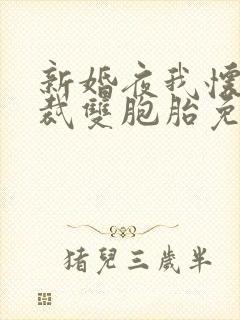 新婚夜我怀了总裁双胞胎免费阅读